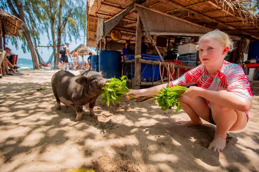 Koh Samui: Pig Island & Koh Tan Speedboat Tour with Lunch - Should you book the Pig Island and Koh Tan trip?