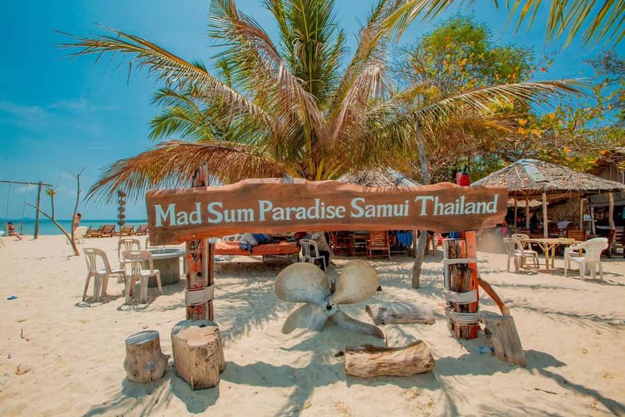 Koh Samui: Pig Island & Koh Tan Speedboat Tour with Lunch - Koh Madsum, the island known for pigs