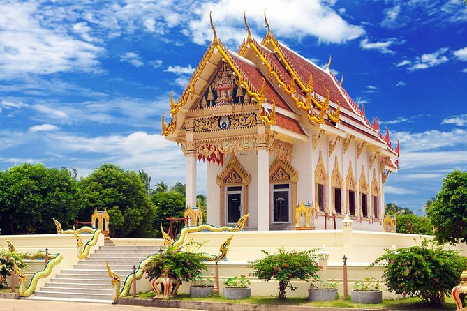 Koh Samui Private Customized Tour with Driver - Na Muang Waterfall and the island interior