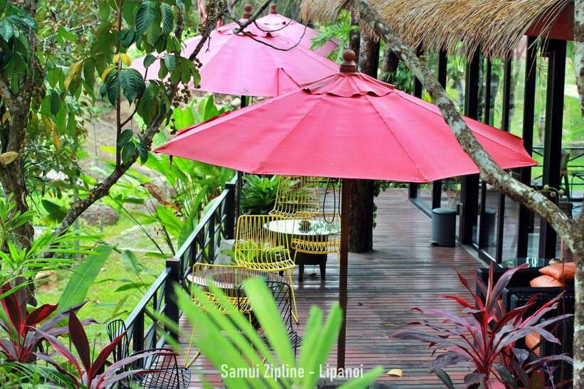 Koh Samui: Samui Zipline Adventure with Transfer service - Who will enjoy this most