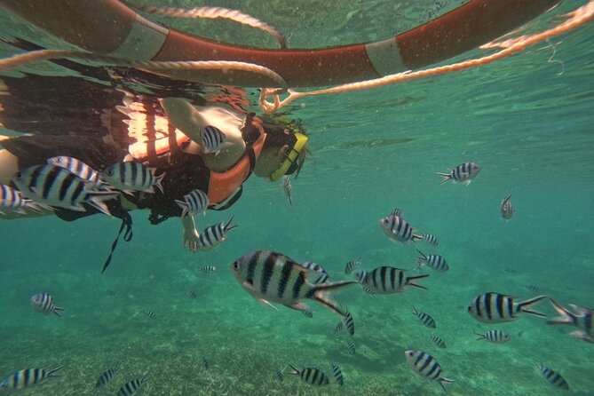 Koh Tao and Koh Nang Yuan Speedboat Tour from Koh Phangan - How the $67.92 price compares with the experience