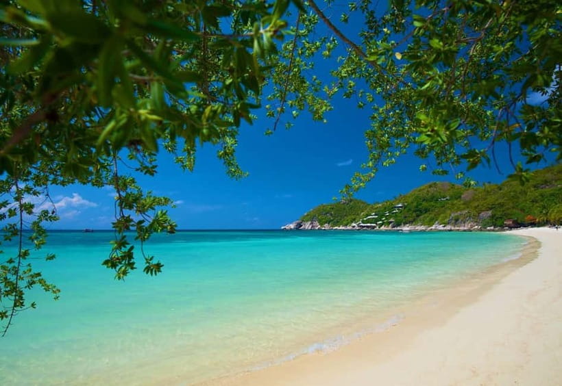 Koh Tao: First Light Snorkel Adventure with Oxygen Tours - Freedom Bay offers a quieter swim