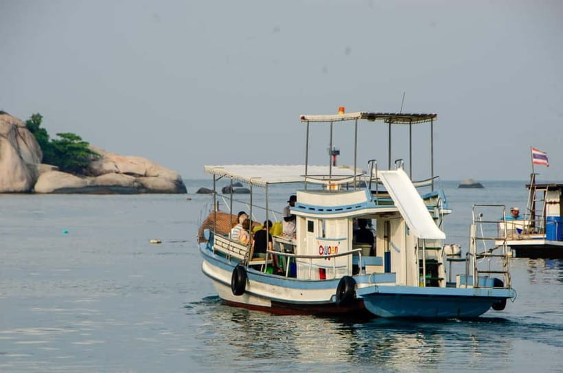 Koh Tao: First Light Snorkel Adventure with Oxygen Tours - Who will enjoy this tour most