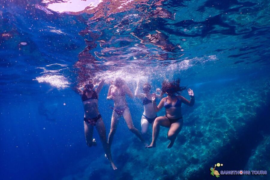 Koh Tao: Islands Snorkeling Highlights Day Tour & Lunch - Key points at a glance