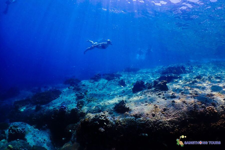 Koh Tao: Islands Snorkeling Highlights Day Tour & Lunch - Koh Nangyuan: viewpoint first, water second