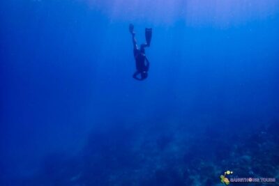 Islands Snorkeling Highlights Day Tour & Lunch