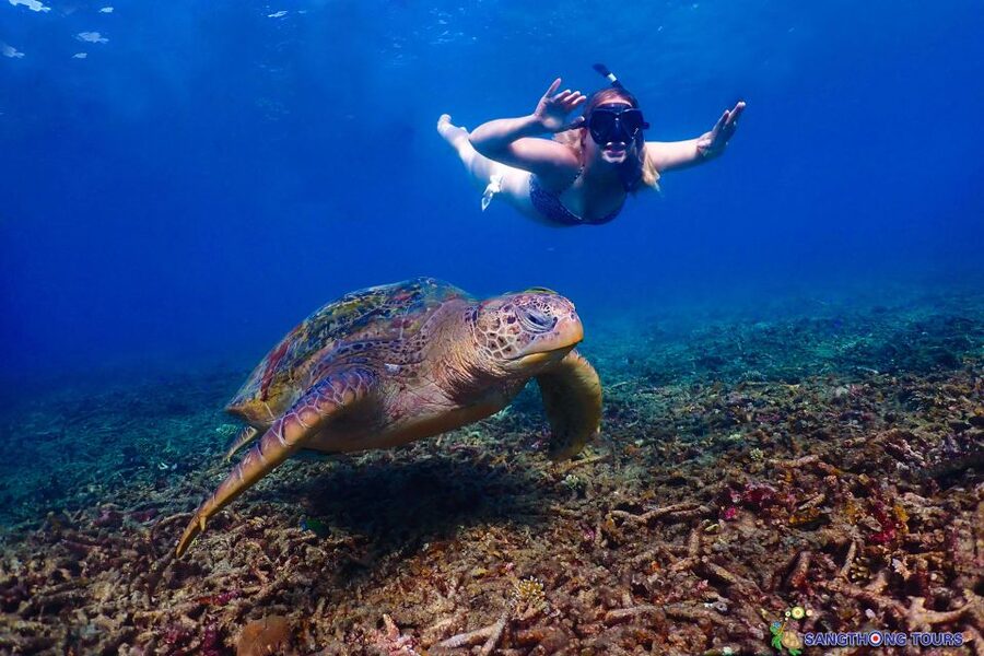 Koh Tao: Islands Snorkeling Highlights Day Tour & Lunch - Ao Hin Wong and the best chance of fish action