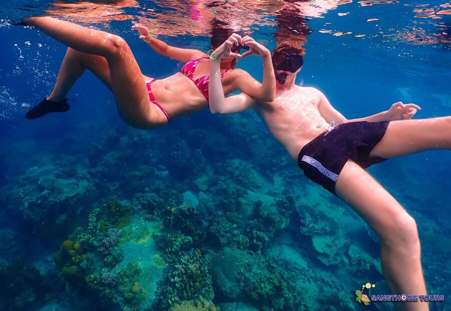 Koh Tao: Islands Snorkeling Highlights Day Tour & Lunch - Shark Bay and the wildlife finale