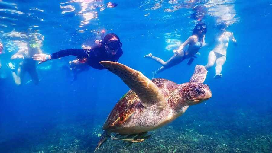 Koh Tao: Koh Nangyuan and the Hidden Bays Trip by the Oxygen - Lunch, drinks, and the practical comforts