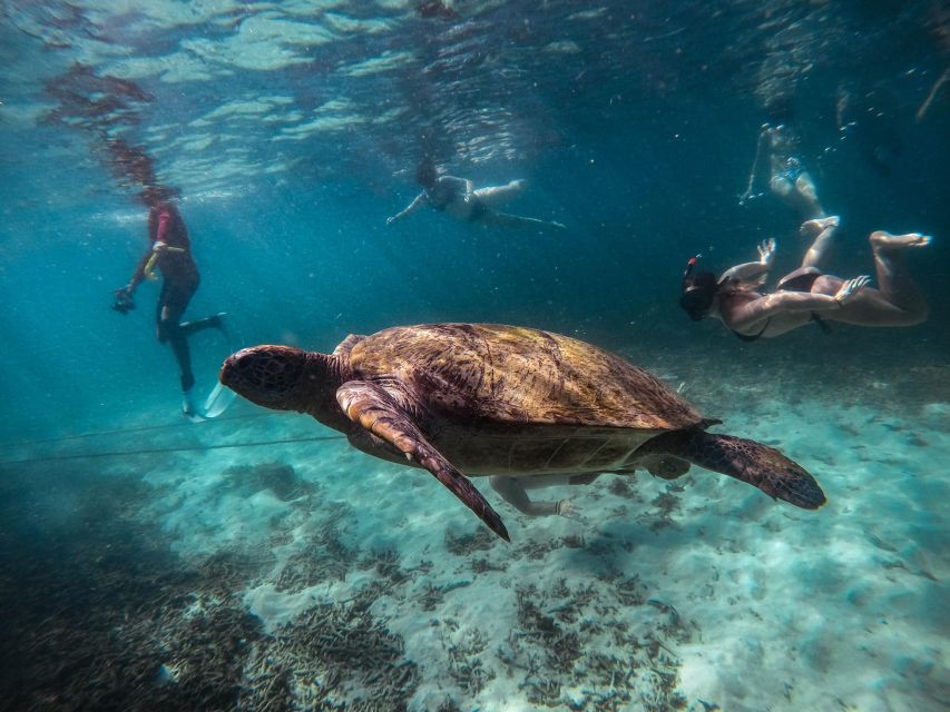 Koh Tao: Koh Nangyuan and the Hidden Bays Trip by the Oxygen - Safety, health, and who should skip it