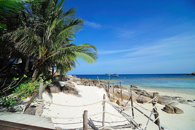 Koh Tao & Koh Nangyuan by Speed Boat (Snorkeling trip from Koh Samui) - Buffet lunch beside the beach