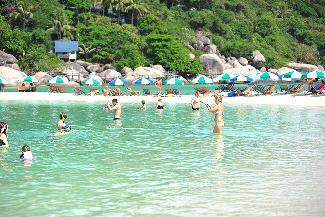 Koh Tao & Koh Nangyuan by Speed Boat (Snorkeling trip from Koh Samui) - Group size, guiding, and the pace of the day