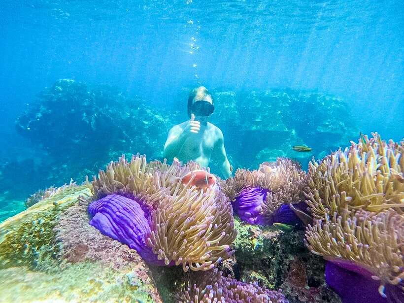 Koh Tao: Koh Nangyuan & Hidden Bays Snorkeling Tour w/ Lunch - Why this $27 trip offers strong value