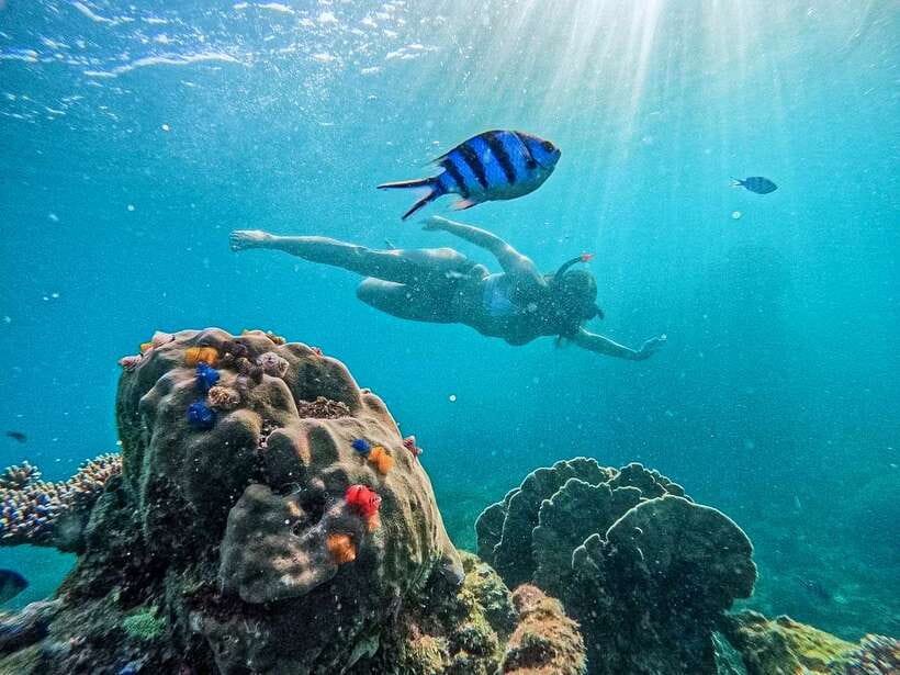 Koh Tao: Koh Nangyuan & Hidden Bays Snorkeling Tour w/ Lunch - Koh Nang Yuan: viewpoint, shallow water, and a busy start