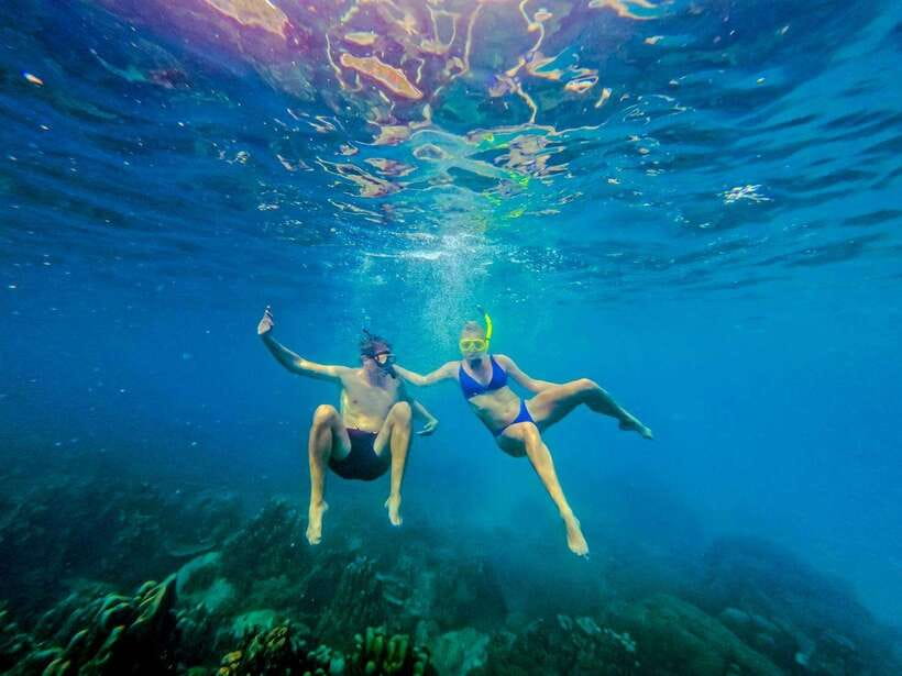 Koh Tao: Koh Nangyuan & Hidden Bays Snorkeling Tour w/ Lunch - Shark Bay: the high point for turtles and reef sharks
