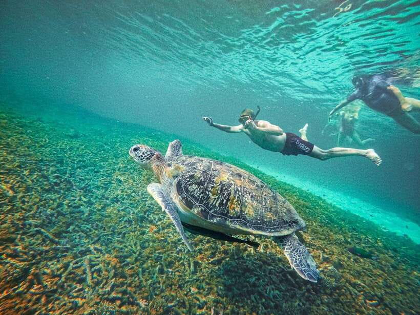 Koh Tao: Koh Nangyuan & Hidden Bays Snorkeling Tour w/ Lunch - What to bring for a day in open water