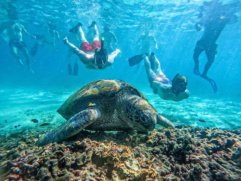 Koh Tao: Koh Nangyuan & Hidden Bays Snorkeling Tour w/ Lunch - Hotel pickup and the ride toward Koh Nang Yuan