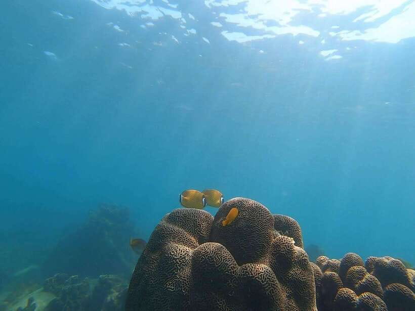Koh Tao: Premium Snorkel Tour to Koh Nangyuan Bays by Oxygen - Koh Nangyuan viewpoint and Japanese Garden