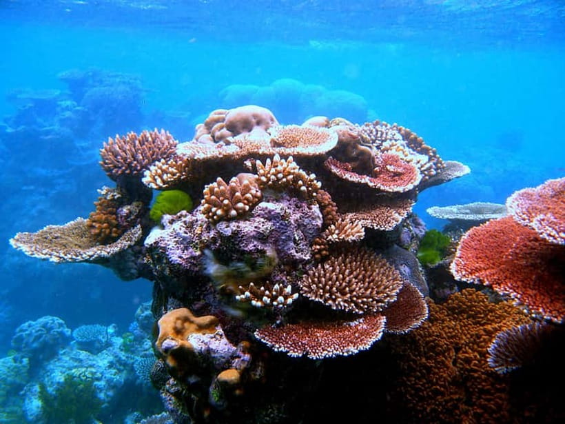 Koh Tao: Snorkeling and Sunset Tour - The sunset ride back to shore
