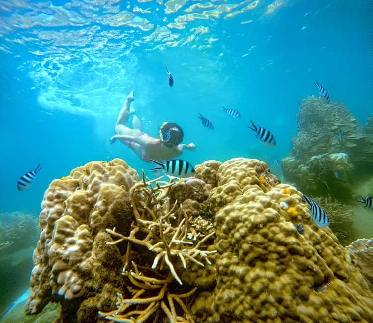 Koh Tao: Snorkeling Trip to Nang Yuan Island & Hidden Bays - Why this Koh Tao boat trip offers strong value