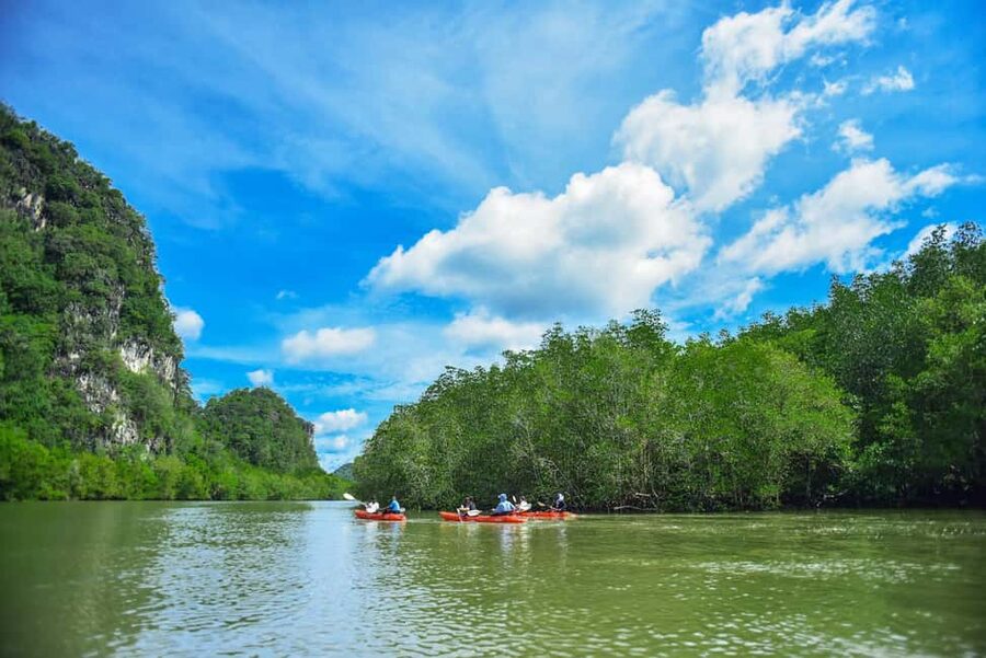 Krabi: Ao Thalane Mangrove Kayaking with Extras - Ao Thalane kayaking at a glance