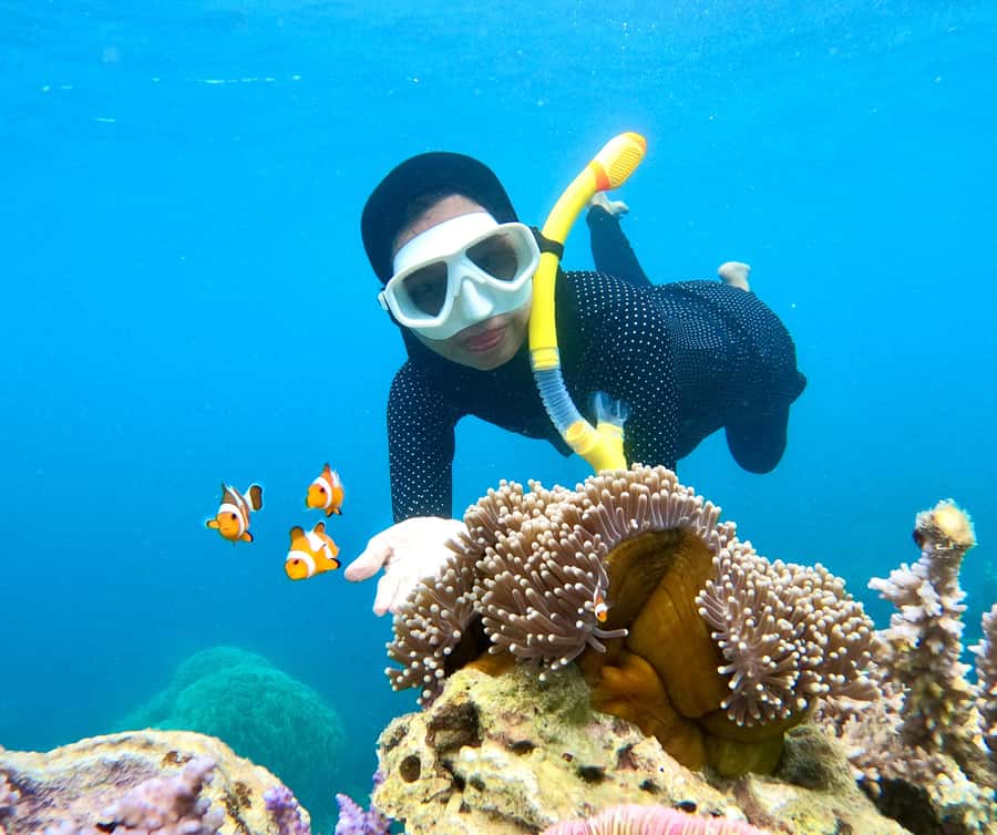 Krabi: Bioluminescent Plankton, Snorkeling & Sunset Tour - Is $40 Good Value?