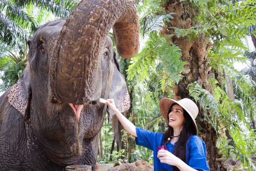 Krabi: Elephant Bathing Session at Krabi Elephant Shelter - Meeting the elephants near Krabi