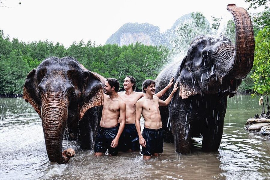 Krabi: Elephant Bathing Session at Krabi Elephant Shelter - Scrubbing and showering with the elephants