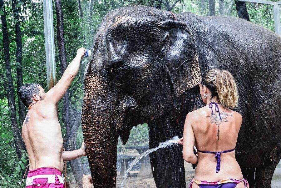 Krabi: Elephant Bathing Session at Krabi Elephant Shelter - Photos, lockers, and washing up