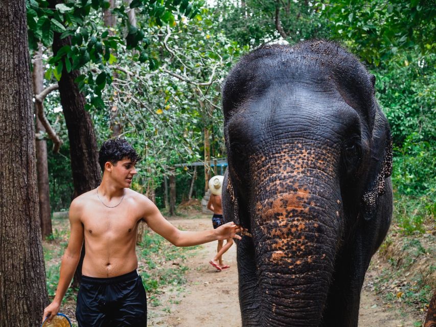 Krabi: Elephant Bathing Session at Krabi Elephant Shelter - Is $48 good value for 90 minutes?