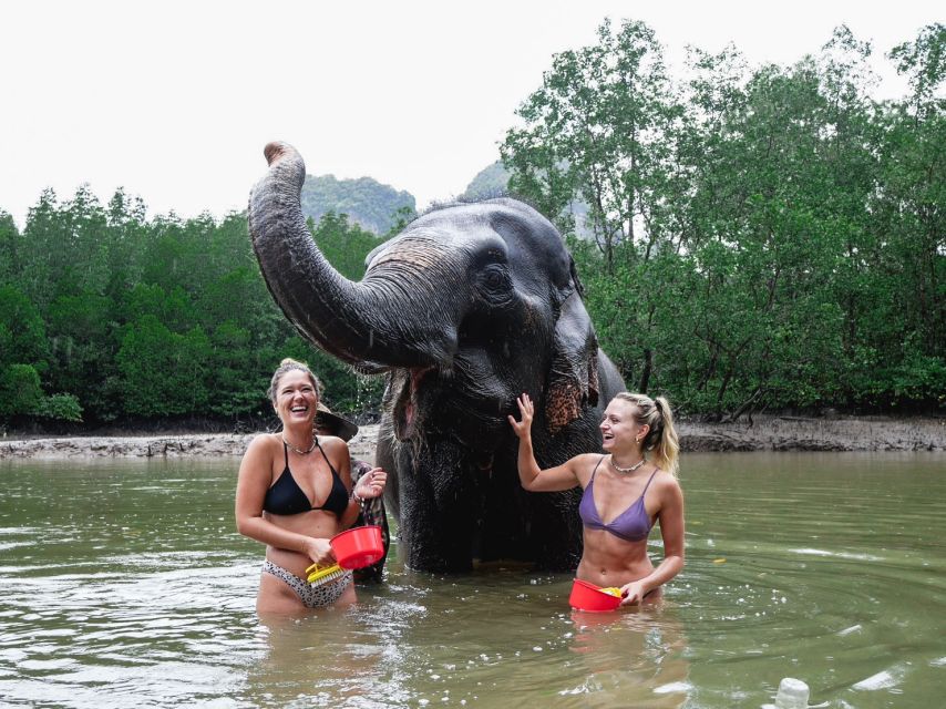 Krabi: Elephant Bathing Session at Krabi Elephant Shelter - What to bring and what to expect