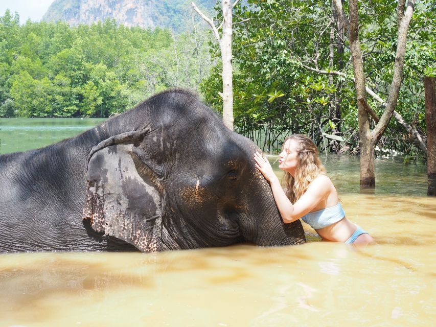 Krabi: Elephant Bathing Session at Krabi Elephant Shelter - Who should book this elephant experience?