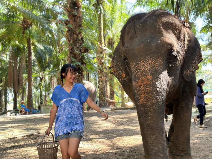 Krabi: Elephant Bathing Session at Krabi Elephant Shelter - Feeding fruit before getting wet