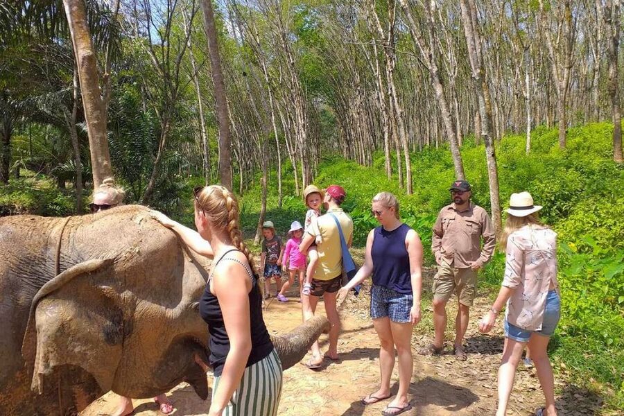 Krabi: Elephant Care House Guided Tour with Hotel Transfers - Key points at a glance
