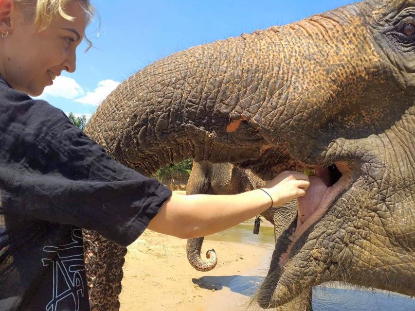 Krabi: Elephant Care House Guided Tour with Hotel Transfers - Preparing food and meeting the elephants