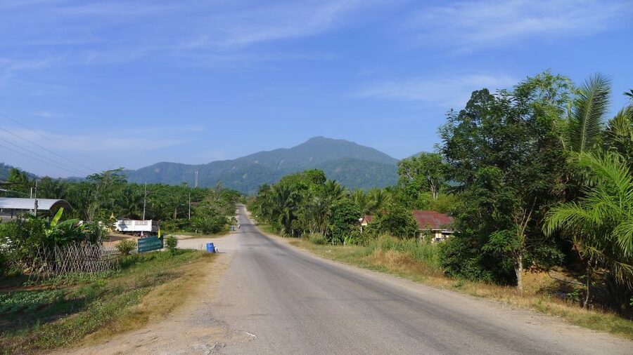 Krabi: Elephant Care House Guided Tour with Hotel Transfers - The 15-minute safety briefing sets the tone