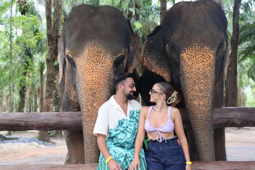 Krabi: Elephant Feeding Program - Key points to know before you book