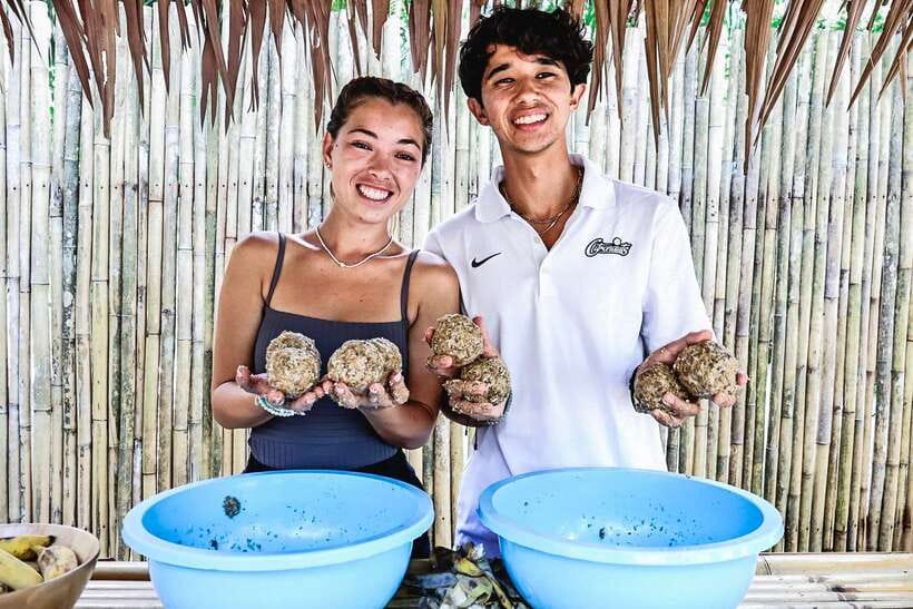 Krabi: Elephant Feeding Program - Hotel transfers and practical planning
