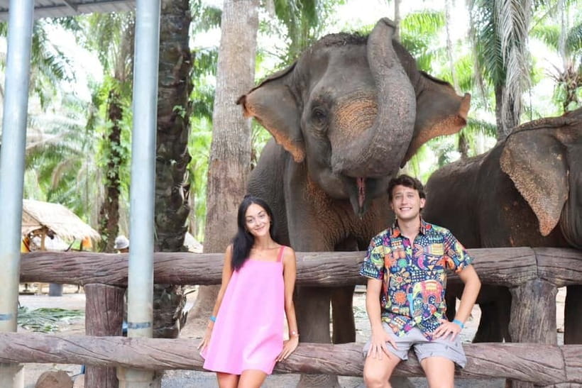 Krabi: Elephant Feeding Program with Food Preparation - Why the short duration matters