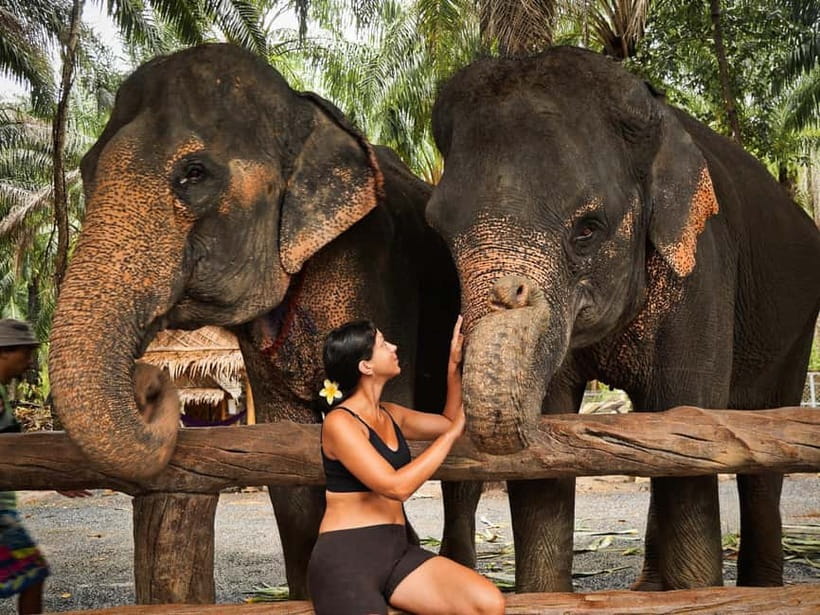 Krabi: Elephant Feeding Program with Food Preparation - Practical details that affect your visit