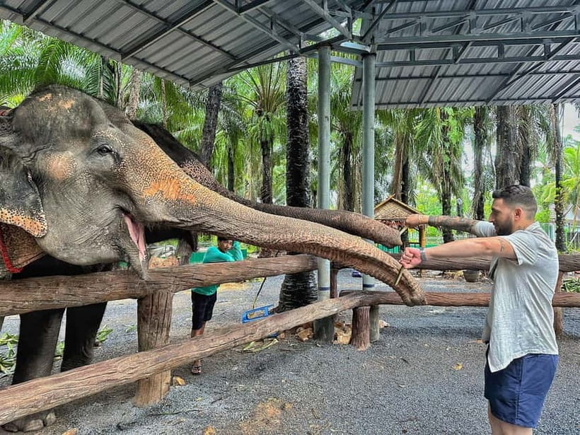 Krabi: Elephant Feeding Program with Food Preparation - Preparing fruit cakes gives the visit a purpose