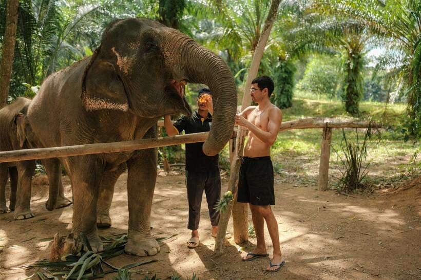 Krabi: Elephant Sanctuary (near Ao Nang) Visit - Key Points To Know Before You Go