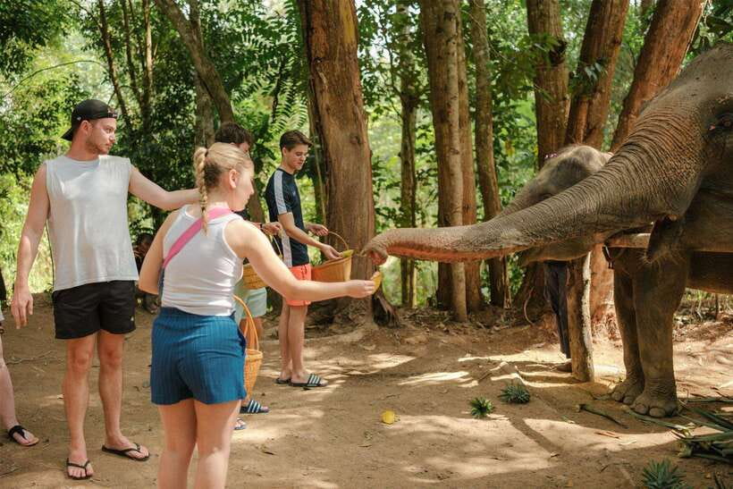 Krabi: Elephant Sanctuary (near Ao Nang) Visit - The Old Tools and the Story Behind Each Elephant