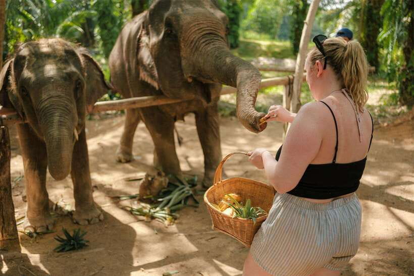 Krabi: Elephant Sanctuary (near Ao Nang) Visit - Photos Without Turning the Visit Into a Show