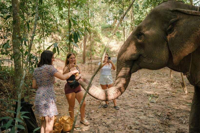 Krabi: Elephant Sanctuary (near Ao Nang) Visit - Who Should Book This Activity?