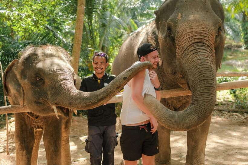 Krabi: Elephant Sanctuary (near Ao Nang) Visit - Meeting the Elephants in Their Home
