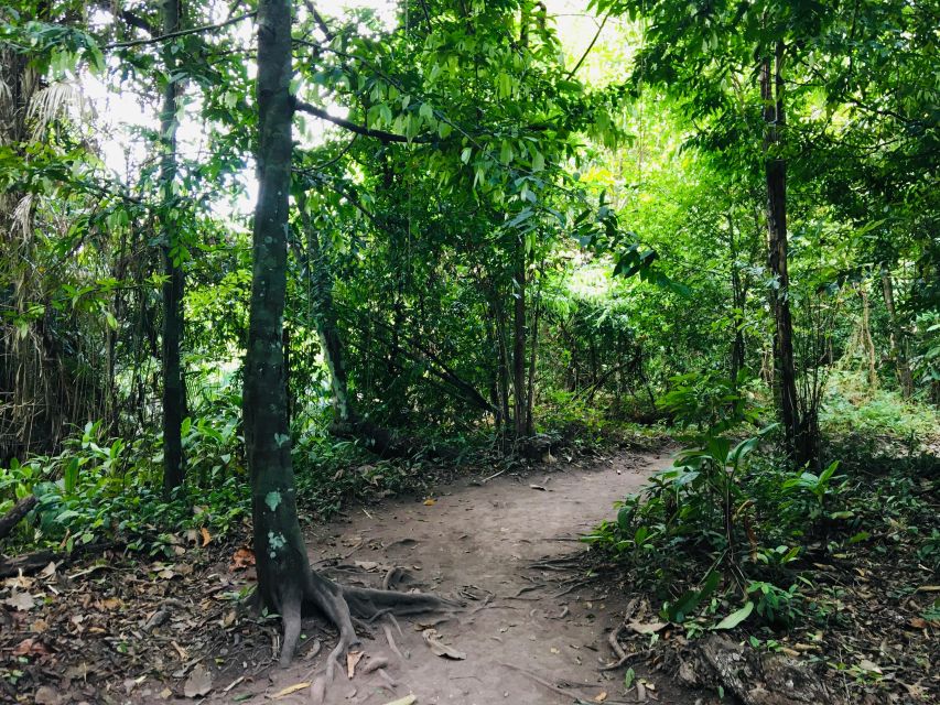 Krabi: Emerald Pool and Hot Springs Waterfall Half-Day Trip - From Krabi hotels to the forest