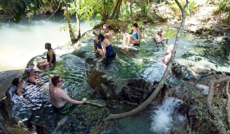 Krabi: Emerald Pool and Hot Springs Waterfall Half-Day Trip - Walking among the old trees
