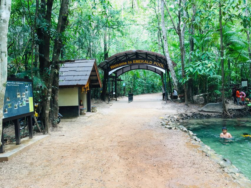 Krabi: Emerald Pool and Hot Springs Waterfall Half-Day Trip - How the half-day schedule really works
