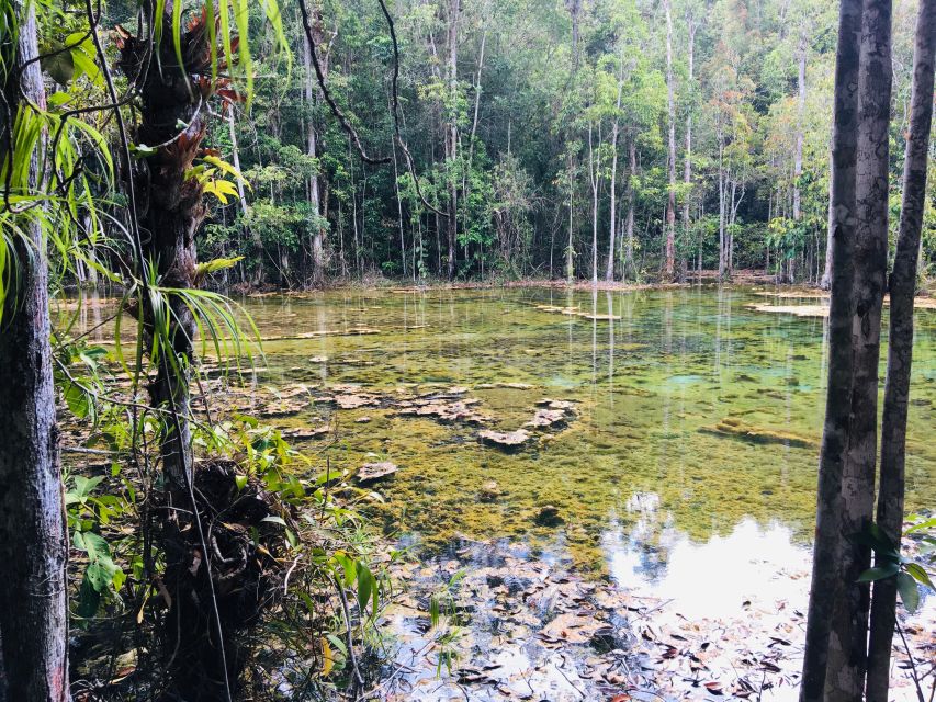 Krabi: Emerald Pool and Hot Springs Waterfall Half-Day Trip - What the $43 price really covers